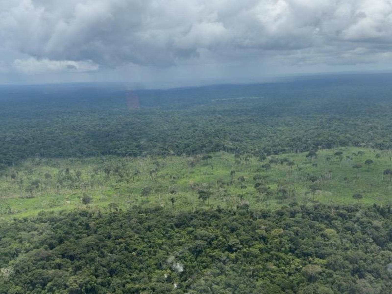Três cidades do Acre fecham 1º trimestre entre as que mais desmataram na Amazônia