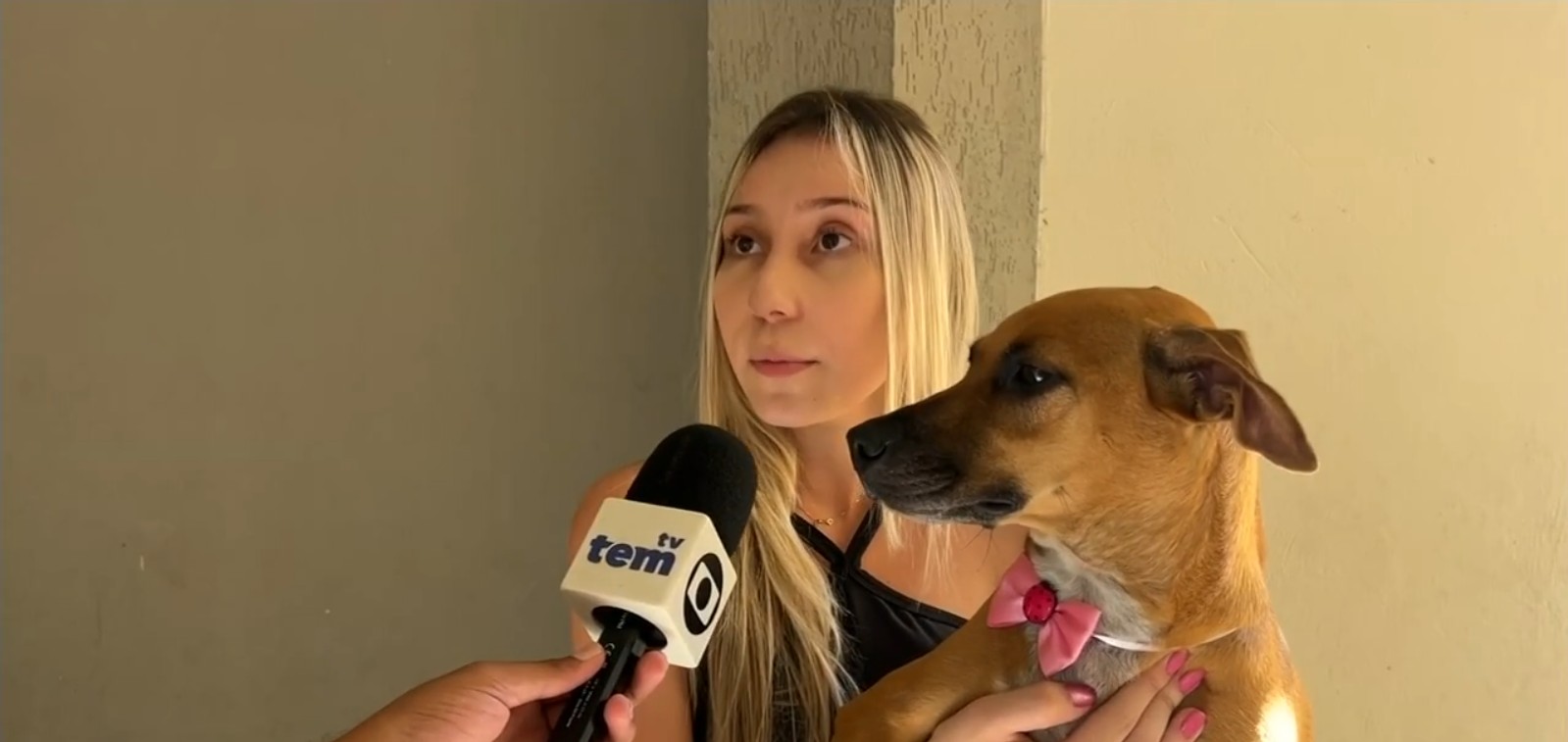 Você Não Tá Convidada pro Meu Bat Mitzvá!