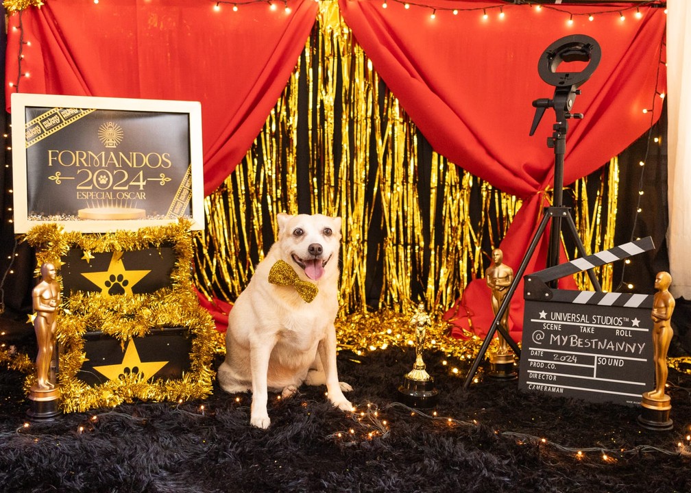 Cães participaram de ensaio de formatura — Foto: Amany Mourtada