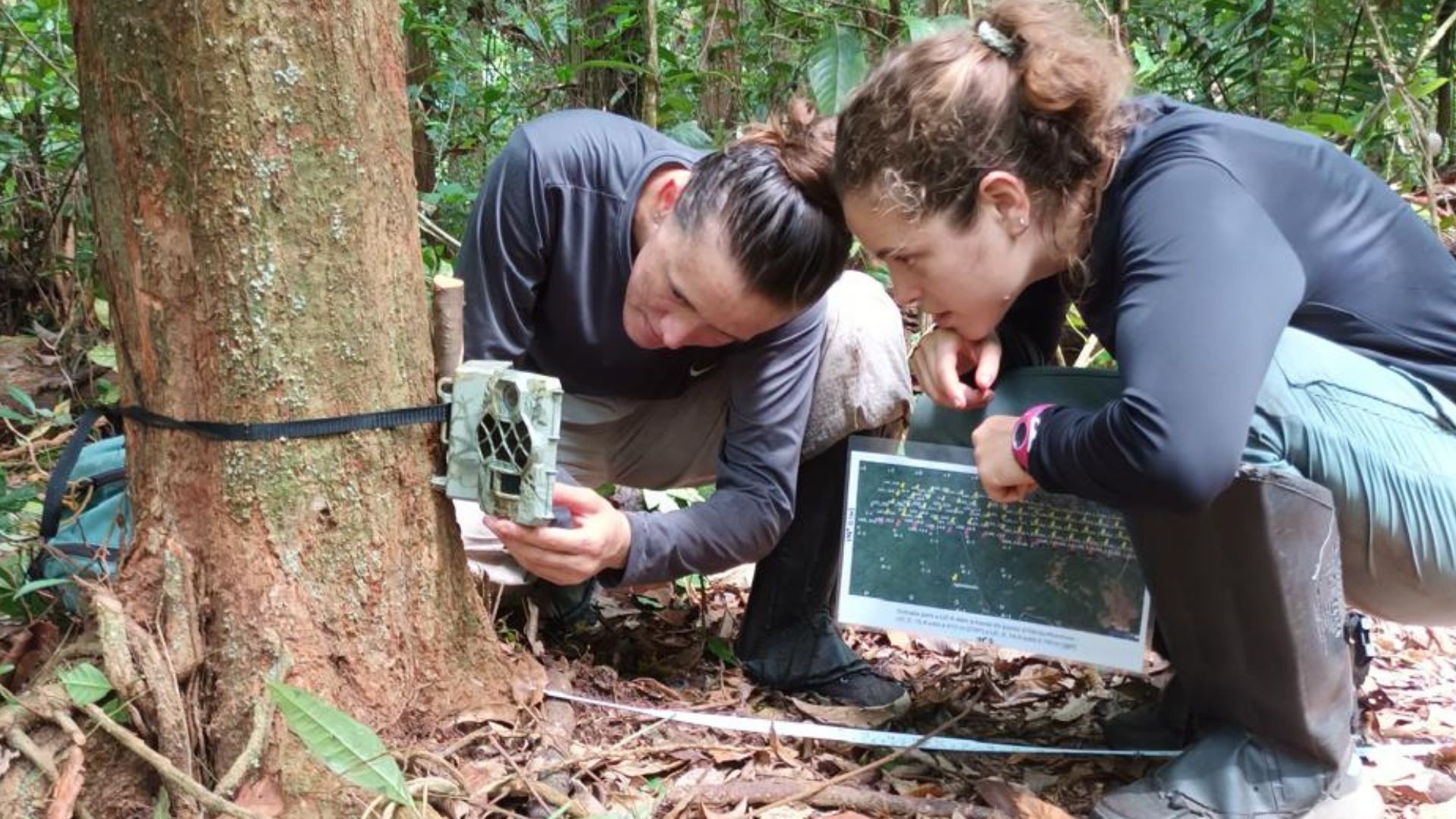 Pesquisadores exploram áreas inéditas da costa do Amapá em busca de onças-pintadas