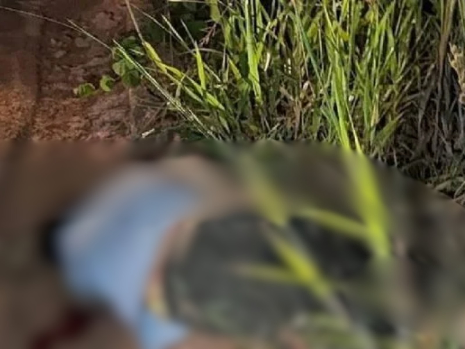 Jovem é sequestrado por quadrilha e morto a tiros no Segundo Distrito de Rio Branco