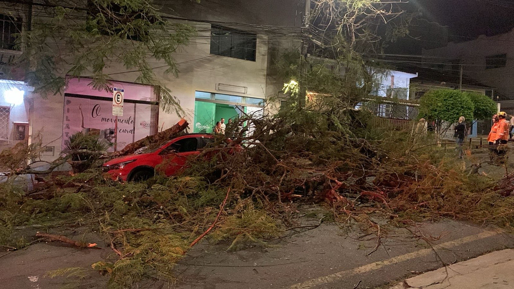 FOTOS: Árvore cai sobre carro e moto em Poços de Caldas