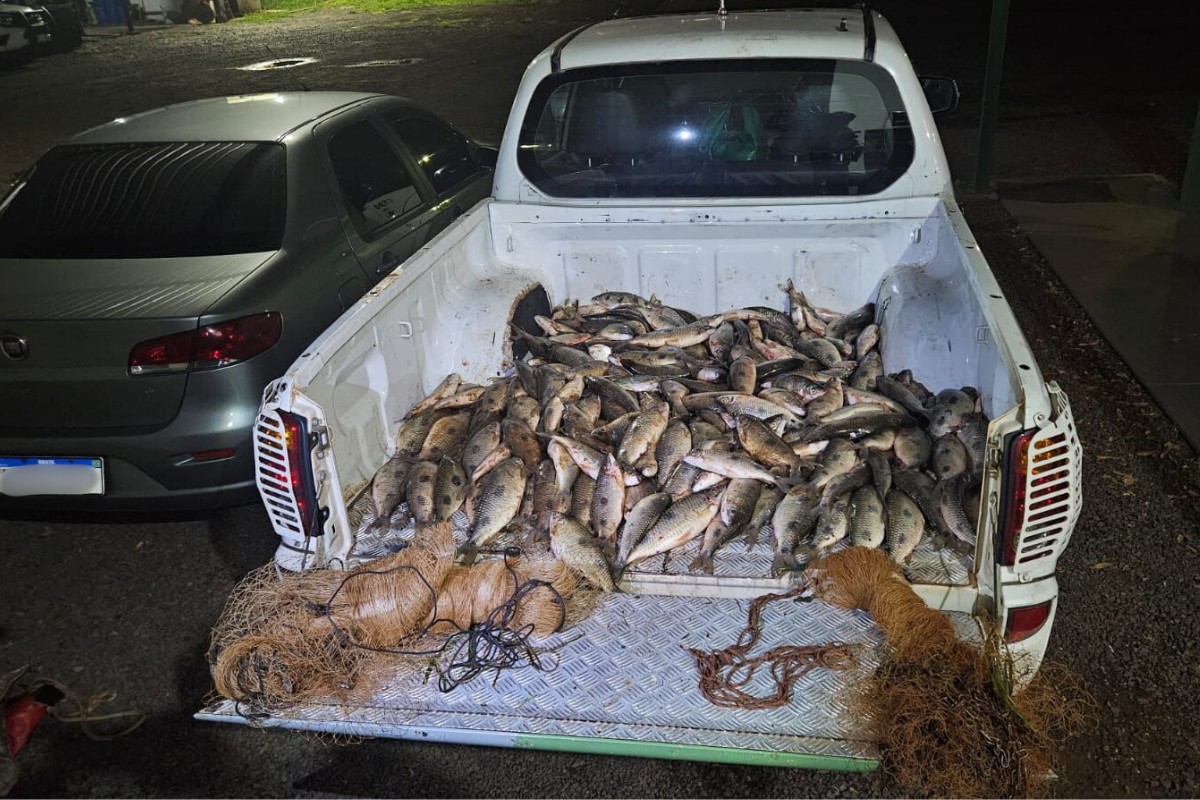 Polícia Ambiental apreende mais de 100 kg de peixes pescados ilegalmente durante a Piracema no interior de SP