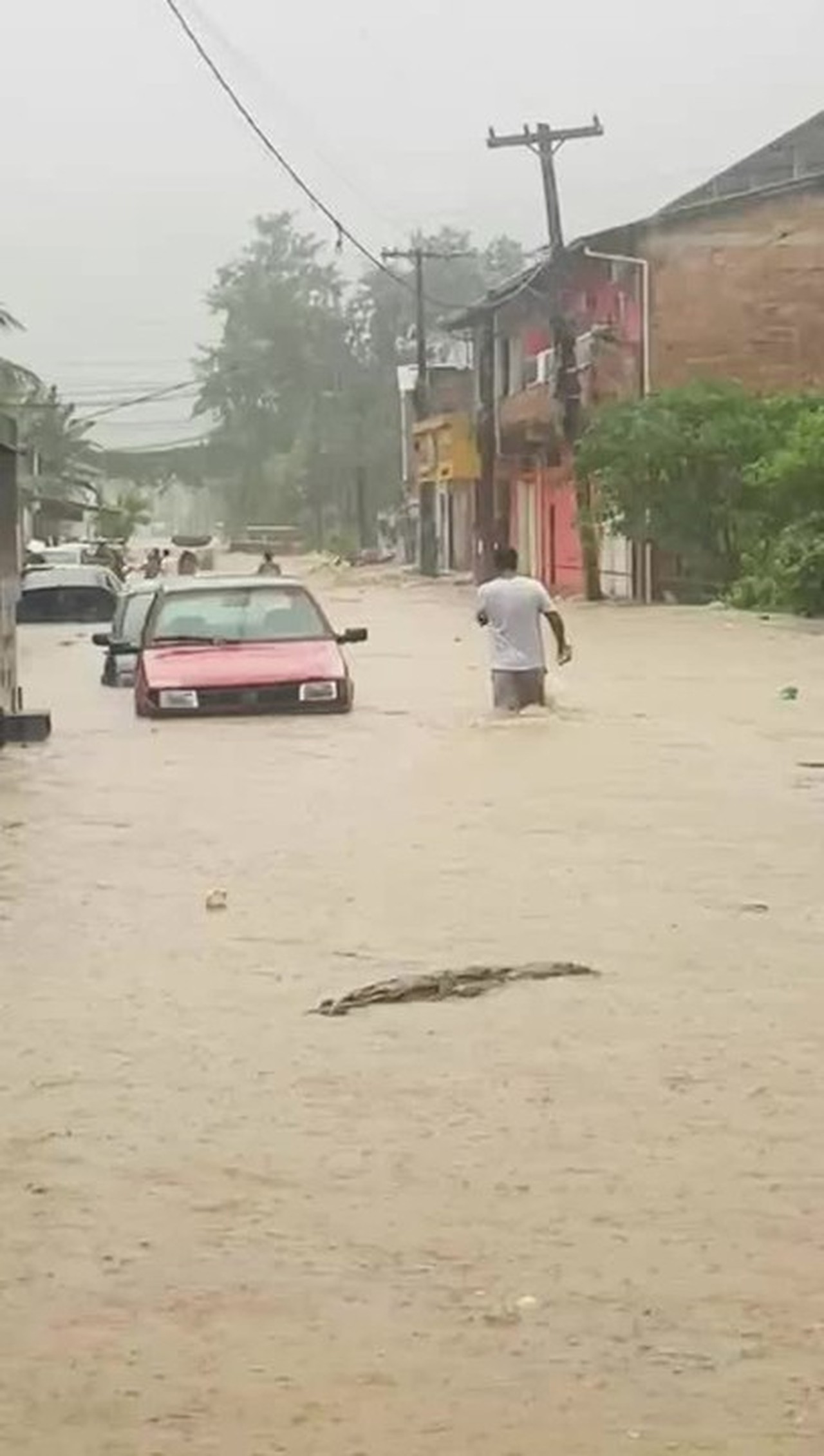 VÍDEO: Forte chuva causa diversos transtornos em Paraty