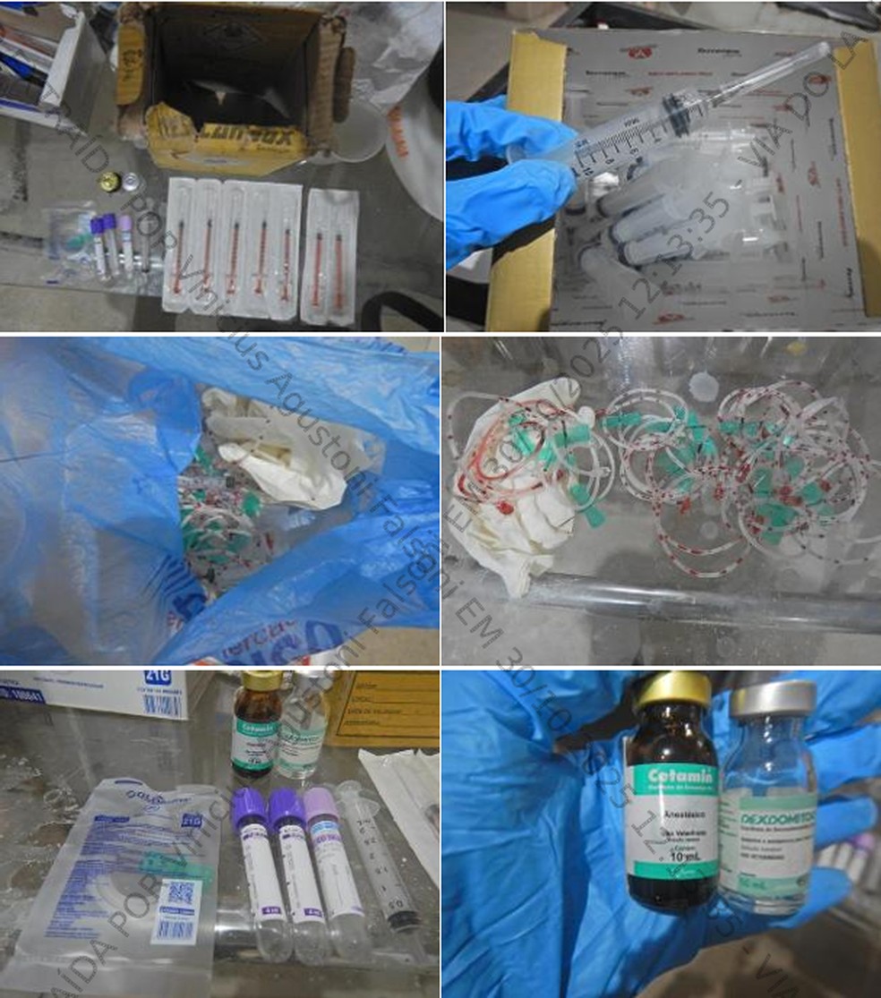 Material utilizado para coleta e venda de sangue dos animais — Foto: Divulgação