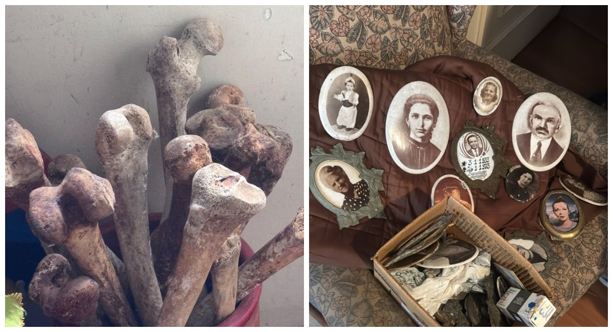 Você Não Tá Convidada pro Meu Bat Mitzvá!