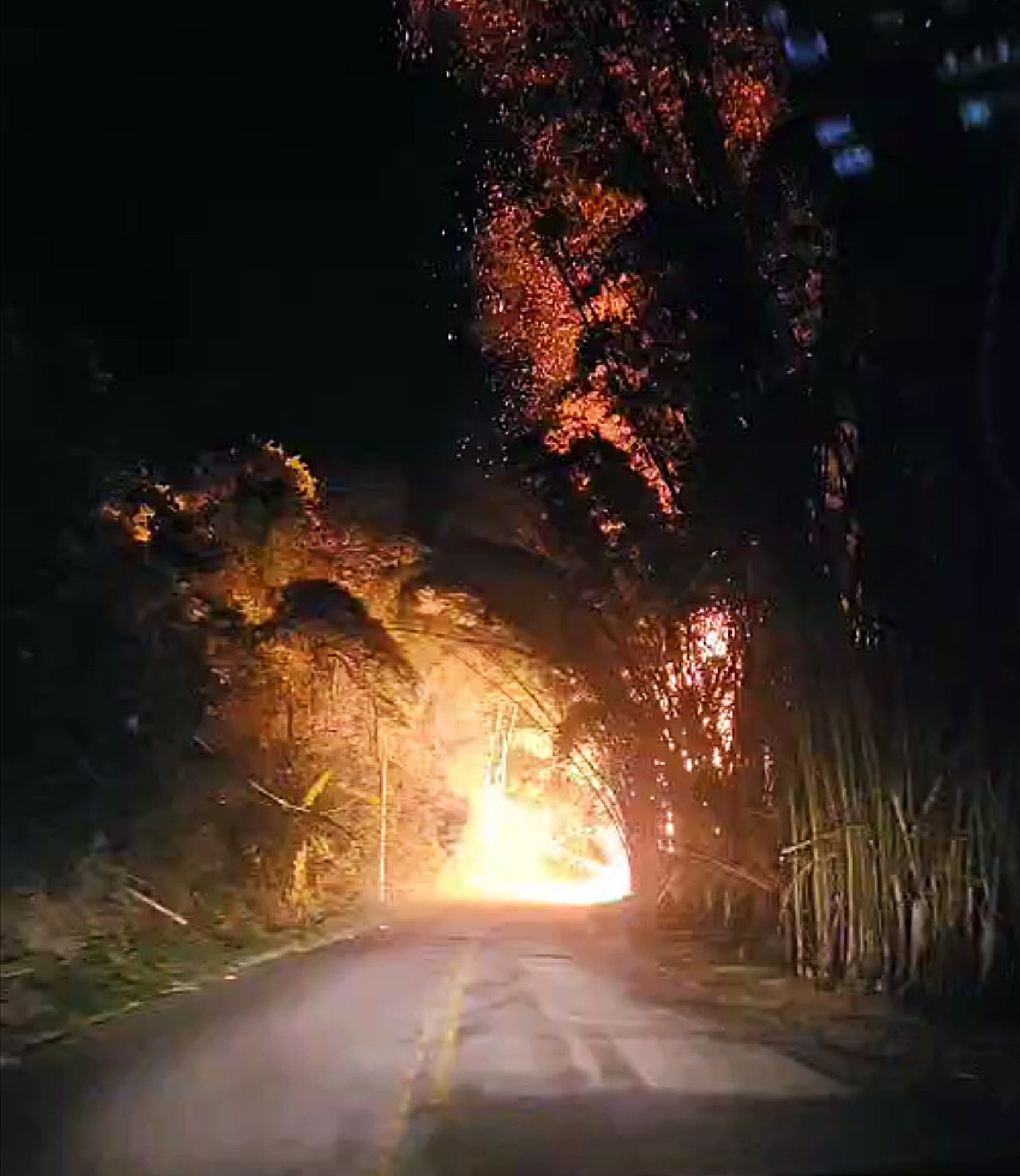VÍDEO: Incêndio atinge margens da MG-267 entre Machado e Carvalhópolis