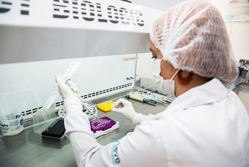 Vvacina contra chikungunya foi desenvolvida pelo Instituto Butantan em parceria com a farmacêutica Valneva — Foto: Reprodução/Governo de SP