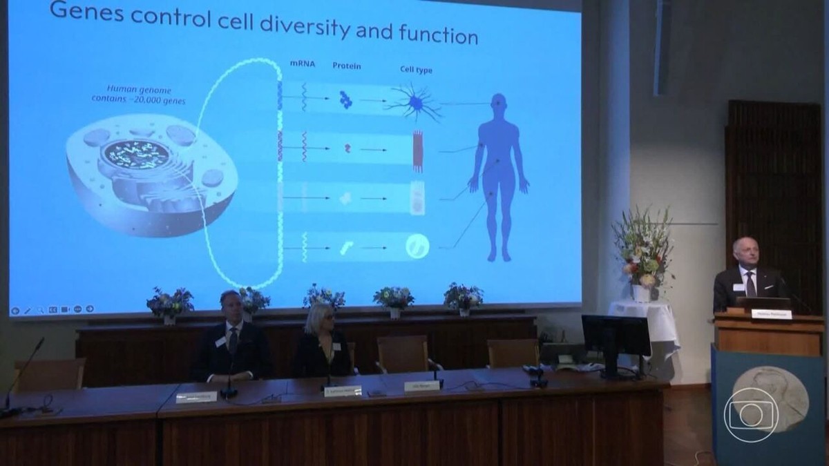 Nobel de Medicina 2024 vai para Victor Ambros e Gary Ruvkun pela descoberta dos microRNAs