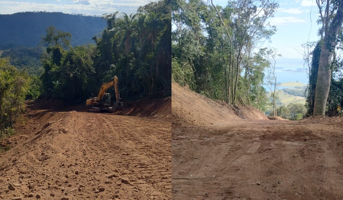 Polícia multa fazendeiro em quase R$ 40 mil por desmatamento de floresta nativa no interior de SP