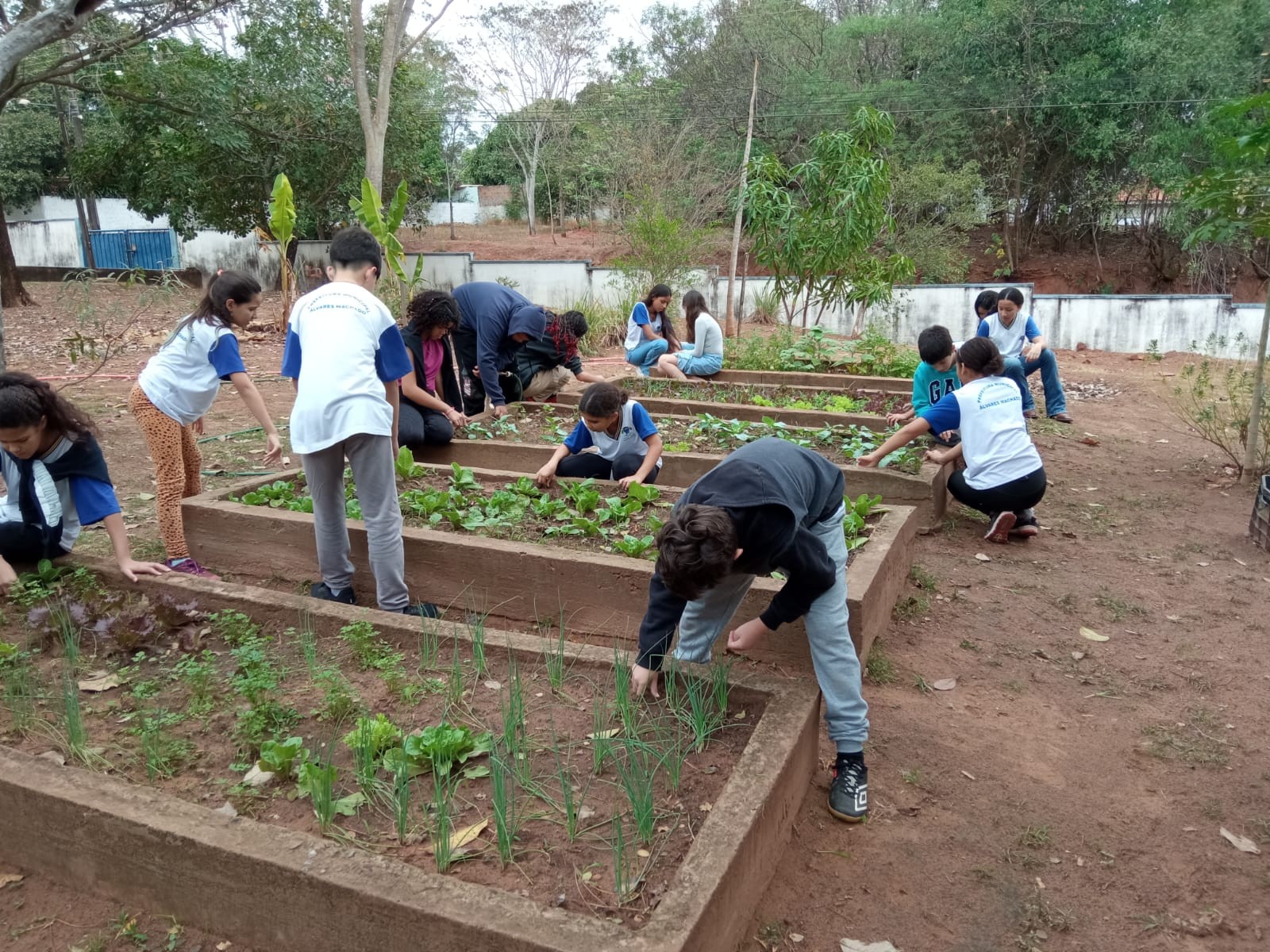 Projeto desenvolvido por estudantes de Álvares Machado é selecionado para participar de conferência nacional pelo meio ambiente em São Paulo