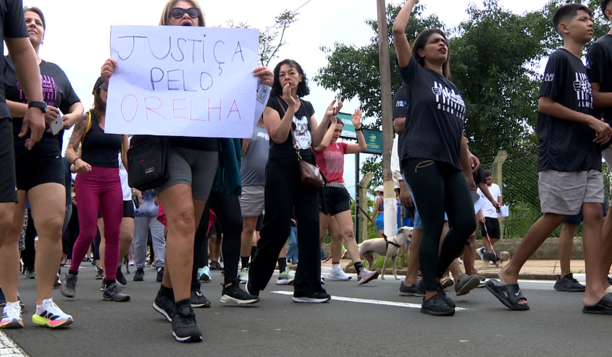 Protetores de animais fazem ato em Campinas contra maus-tratos do cão Orelha, morto em Florianópolis