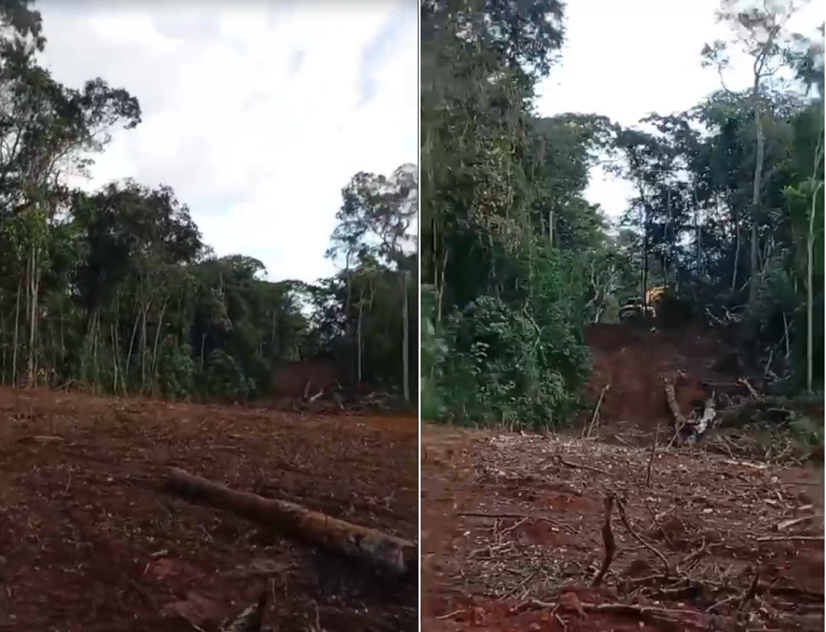 Denúncia aponta desmatamento equivalente a cinco campos de futebol em área de Mata Atlântica em Varre-Sai