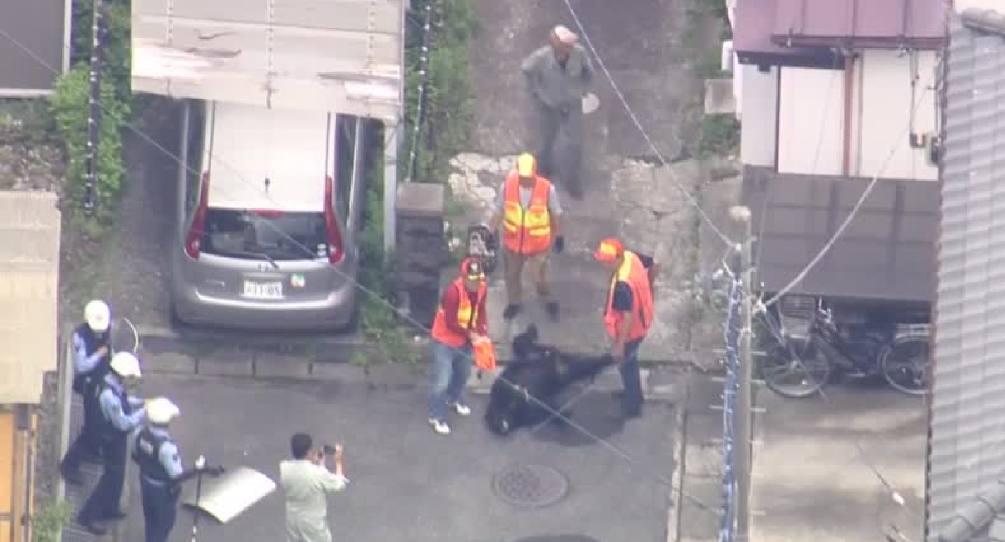 VÍDEO: urso é capturado após caçada de vários dias por área residencial no Japão
