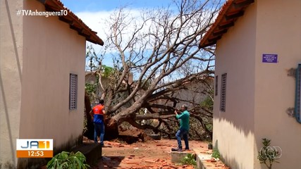 Temporal provoca estragos e moradores da região sul de Palmas ficam assustados