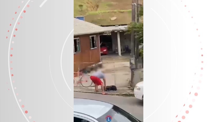 Cadela Pitbull deita no chão enquanto apanha de tutor com guia em Camboriú; VÍDEO