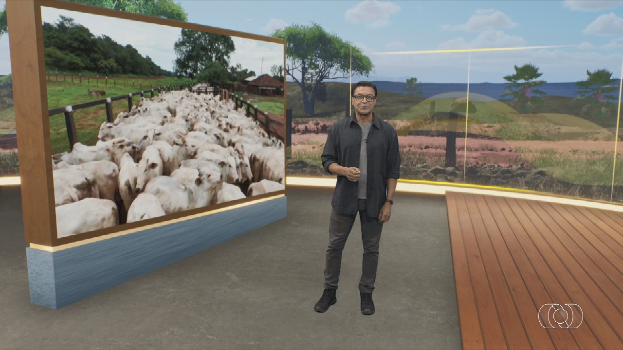 VÍDEOS: Jornal do Campo - TO deste domingo, 26 de abril de 2026