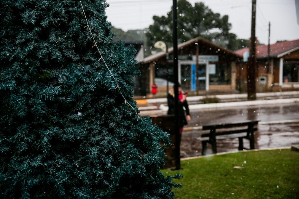 Precipitao invernal em So Jos dos Ausentes — Foto: Neimar De Cesero/Agencia RBS