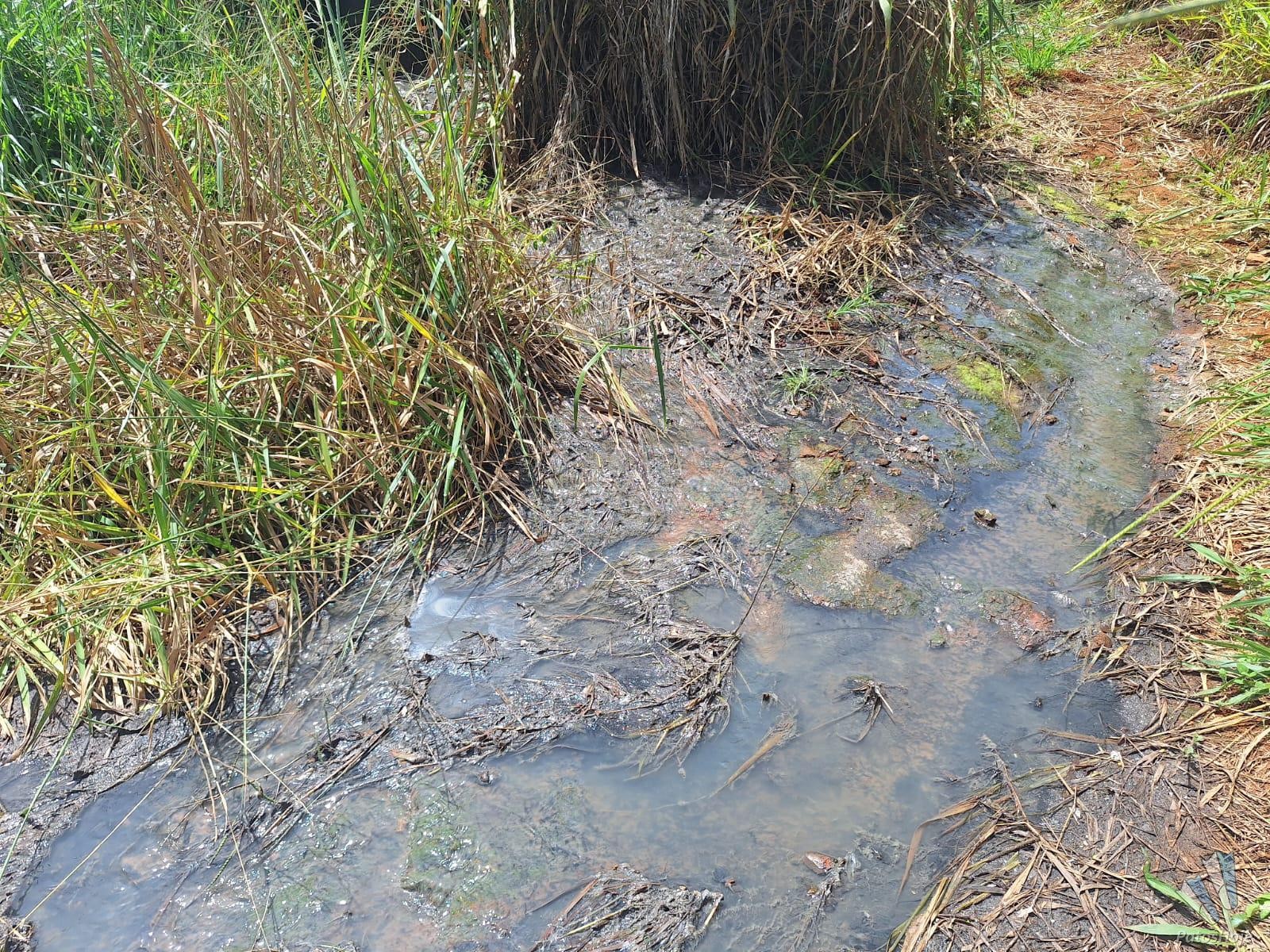 Copasa é indiciada por crime ambiental após vazamento de esgoto em Araxá