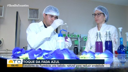 Estudante cria bebida para reduzir a ansiedade a partir da planta Fada Azul