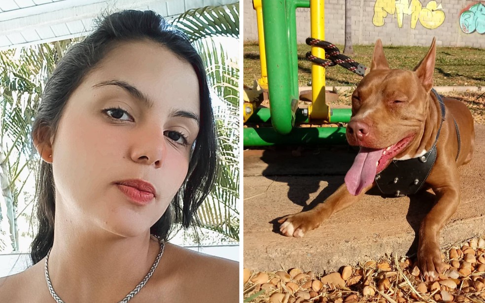Tutora morre após ser atacada por pit bull dentro de casa, em Goiás — Foto: Reprodução/Redes sociais