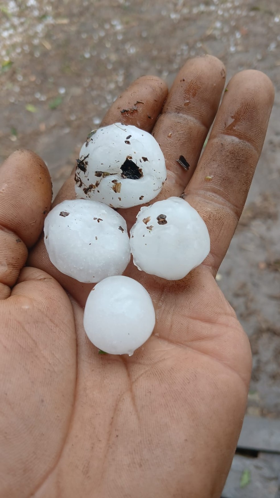 Granizo danificou casas em Pinhão (PR) — Foto: Reprodução