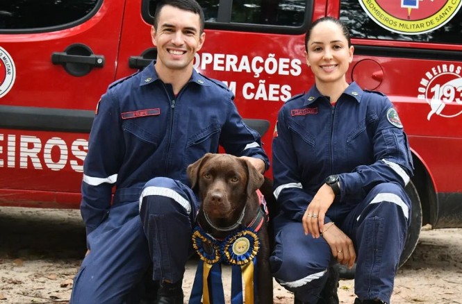 Cadela que atuou nas enchentes do RS revela sexo do filho de casal de bombeiros em SC; VÍDEO 