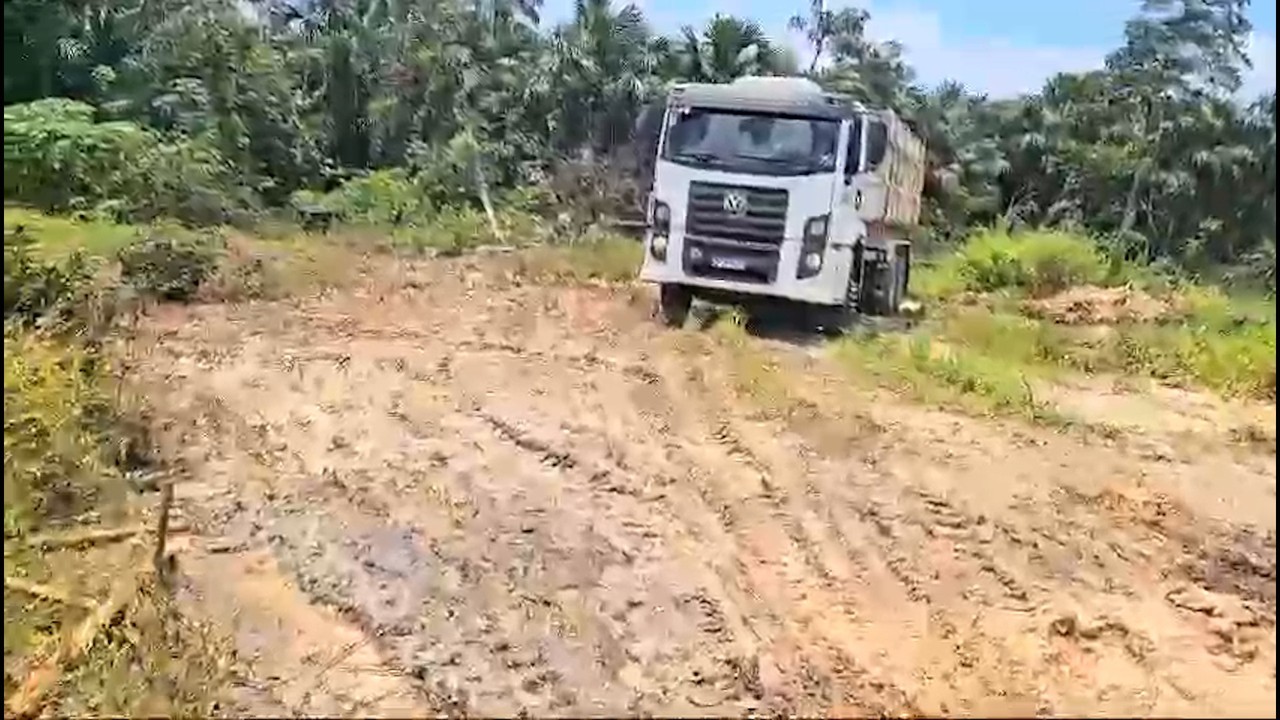Motorista e empresário são presos suspeitos de praticar crime ambiental em São Luís