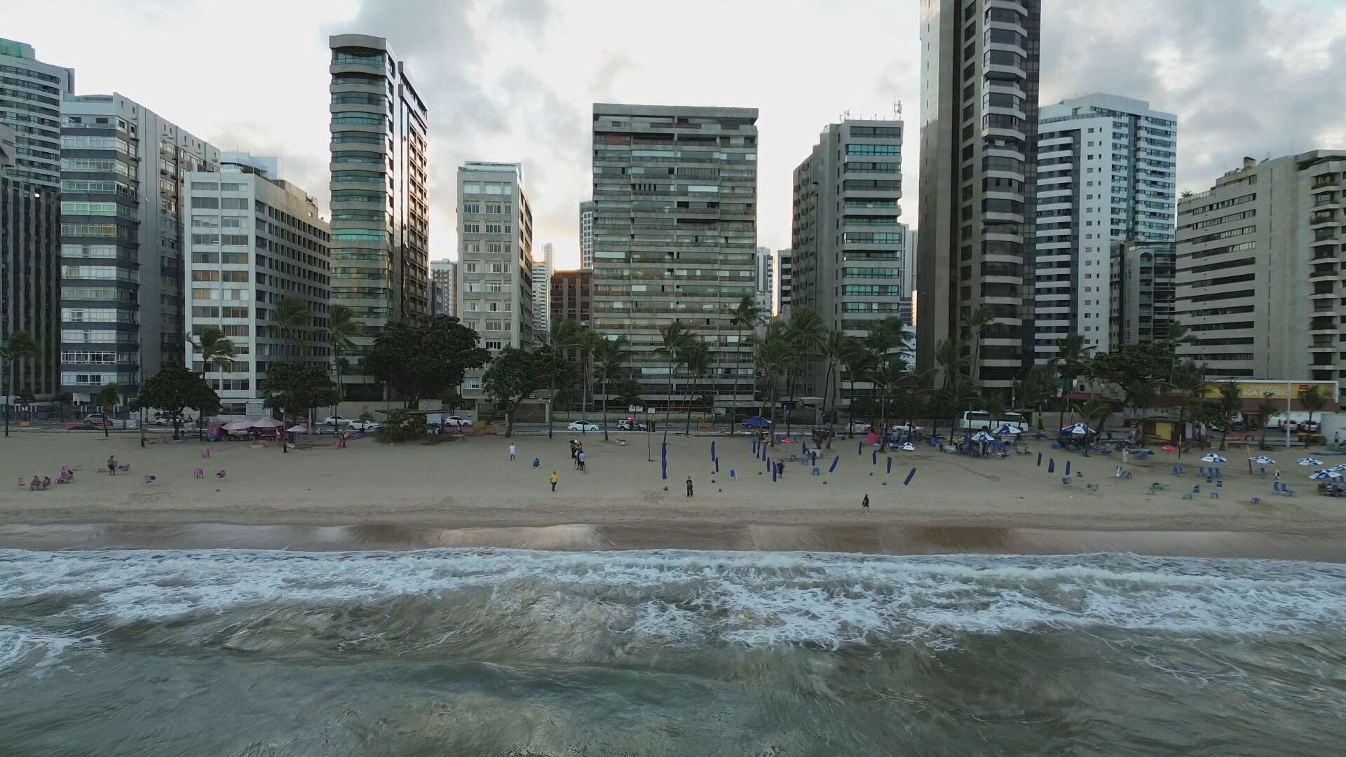 Boa Viagem e Piedade: por que praias do Grande Recife têm tantos incidentes com tubarões?