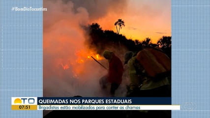 Brigadistas se mobilizam para conter as chamas em parques estaduais do Tocantins