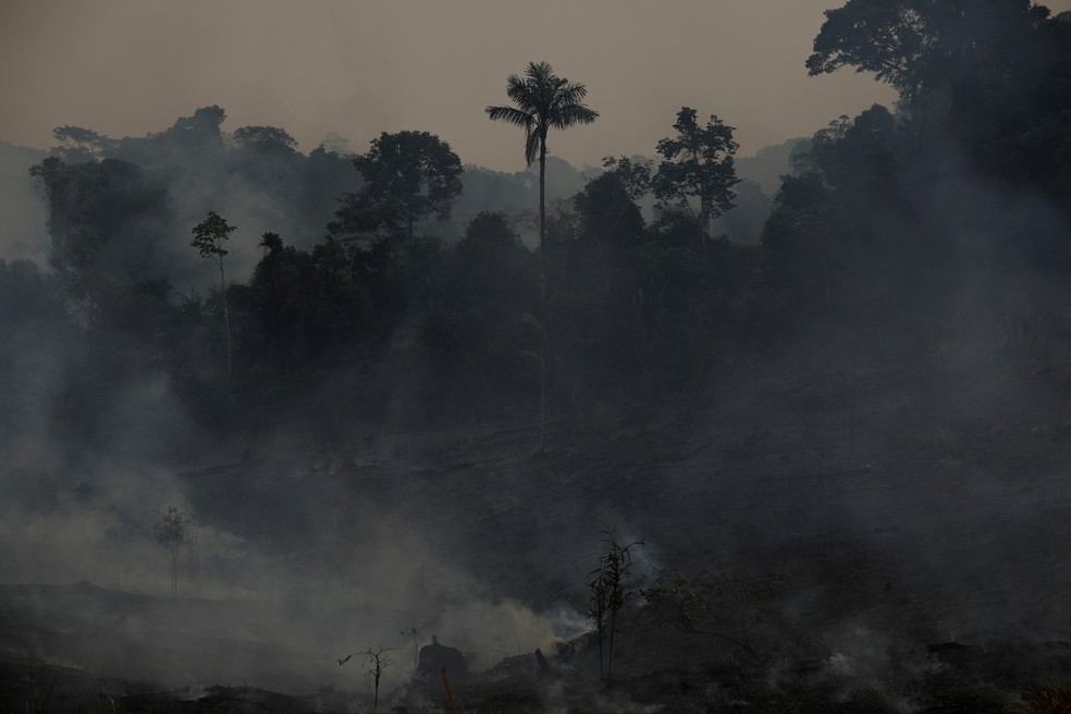 Fumaça de queimadas contribuem para o aquecimento do globo — Foto: REUTERS/Adriano Machado