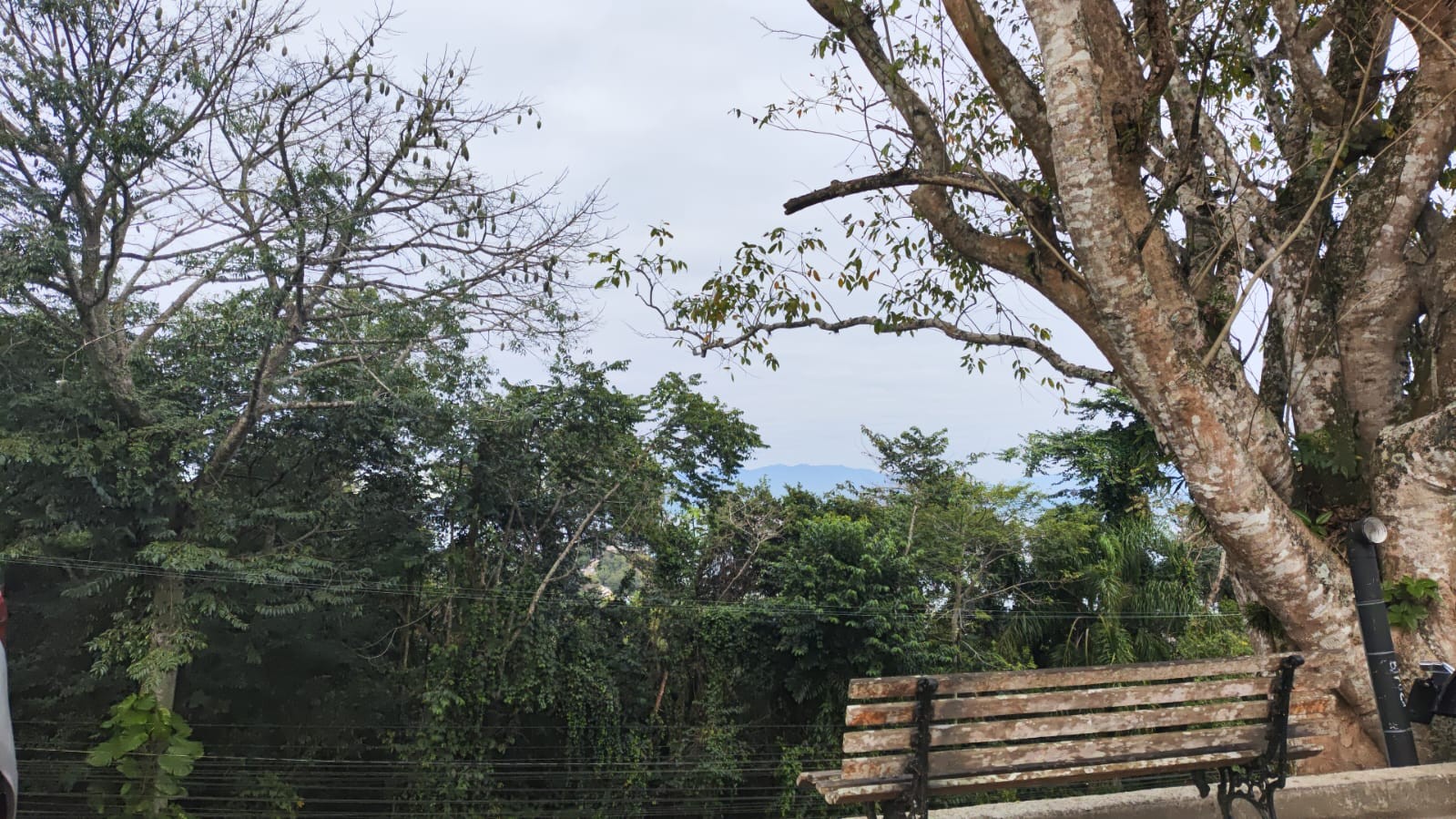Única capital litorânea do Sul, Florianópolis registra a menor temperatura do ano