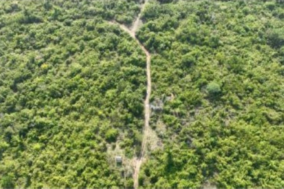 Proprietário de uma área rural localizada ao lado do Parque Estadual Igarapés do Juruena é denunciado por nove crimes ambientais — Foto: MPMT
