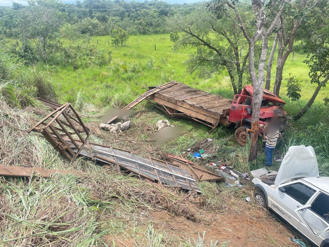 Acidente entre dois caminhões e um carro deixa bois mortos na TO-050