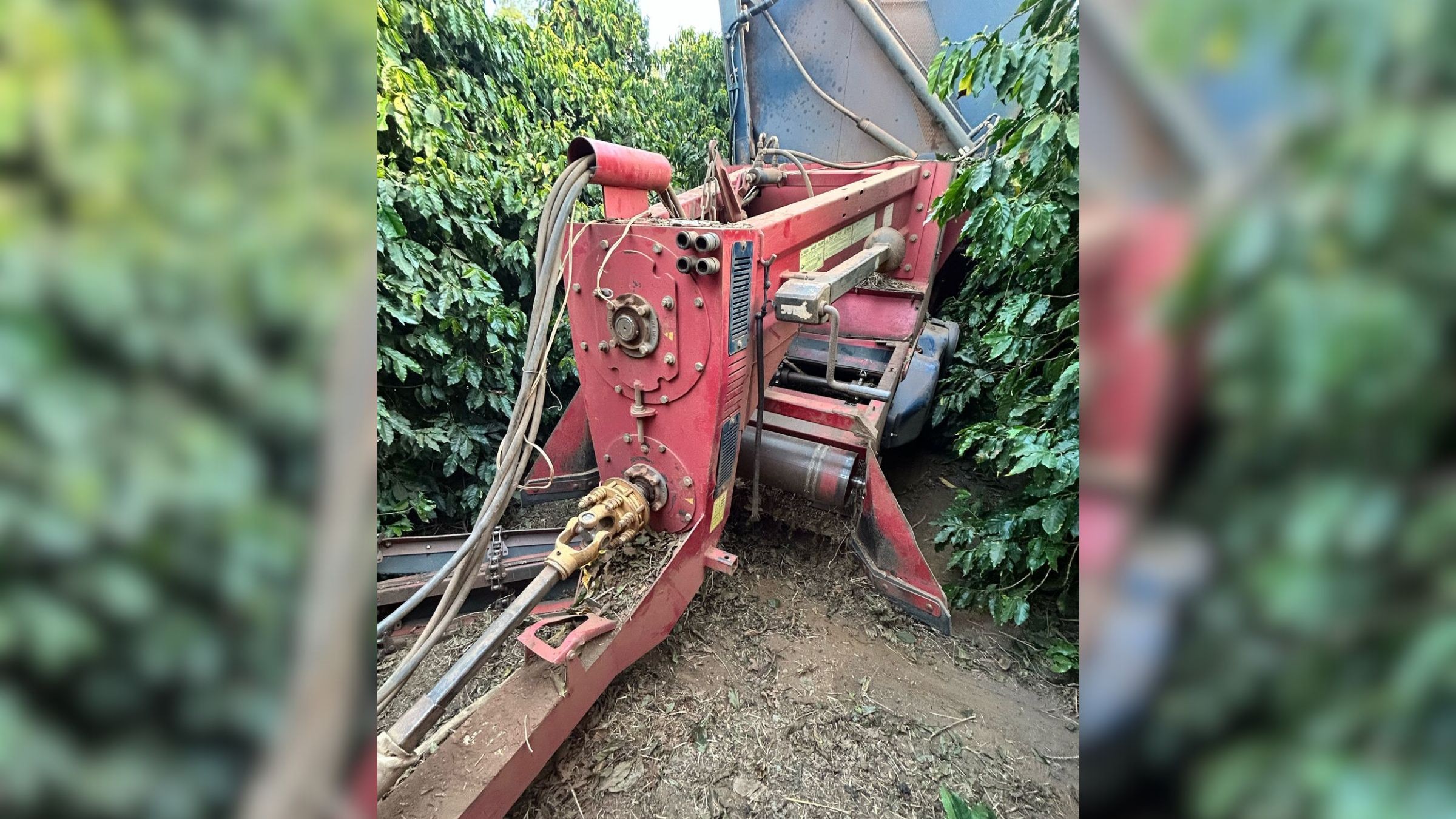 Fazendeiro morre ao ser puxado para dentro de colheitadeira de café na zona rural de Alto Paranaíba