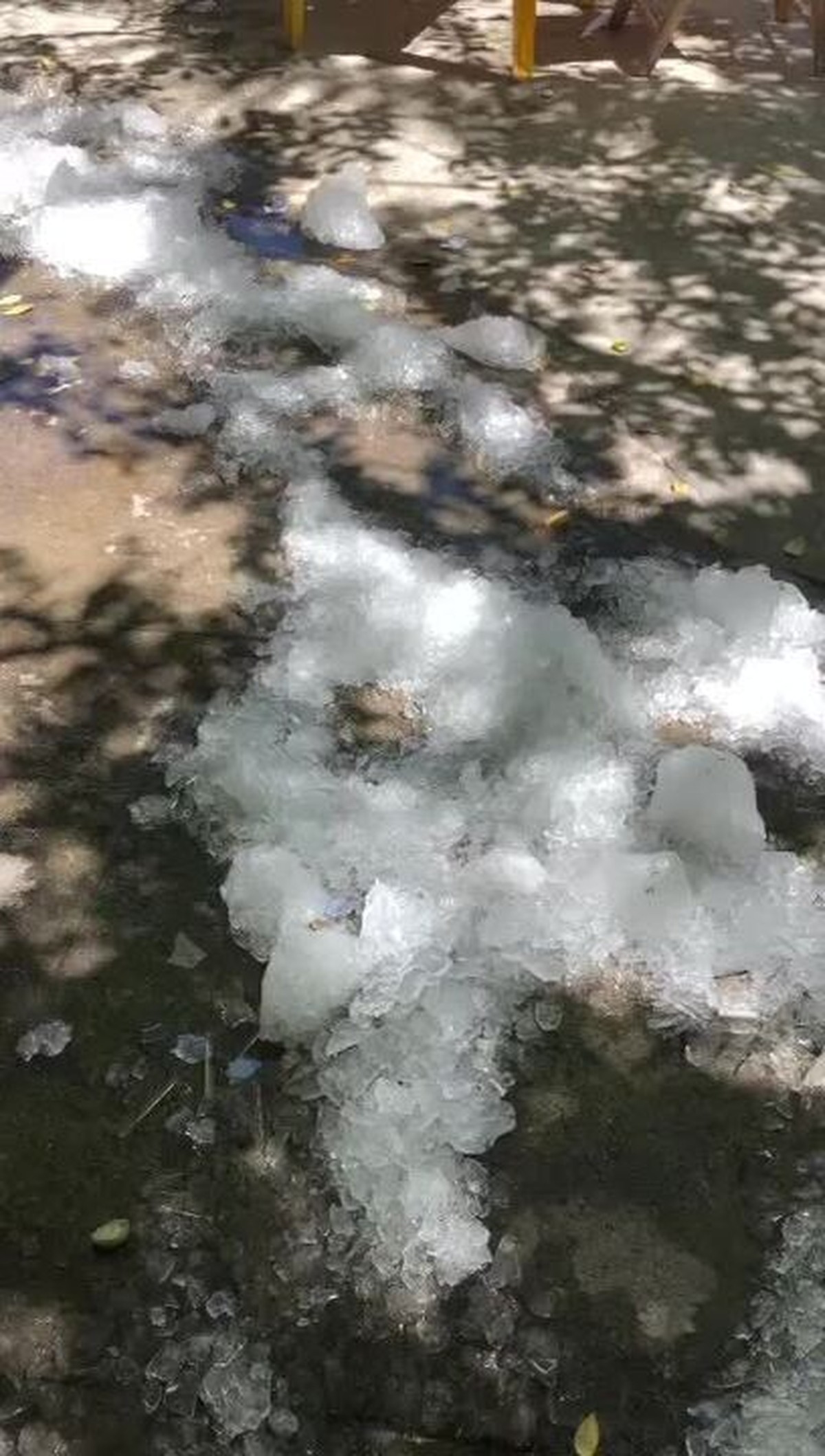 Para amenizar calor dos clientes, bar no interior do RN espalha gelo no  chão e vídeo viral