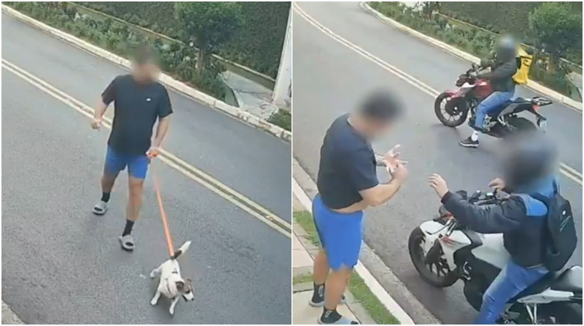 VÍDEO: cachorro de homem assaltado foge durante roubo de aliança no Morumbi, Zona Sul de SP