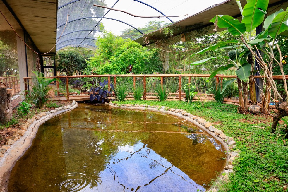 O aviário de imersão, no Zoo Brasília — Foto: FJZB/Divulgação