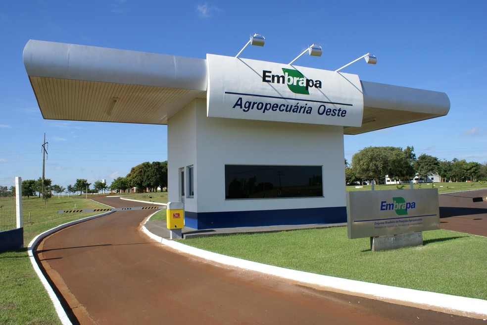 Concurso da Embrapa está ofertando 43 vagas divididas entre cargos de técnico, analista e pesquisador. — Foto: Nilton Pires de Araujo/Divulgação/Embrapa