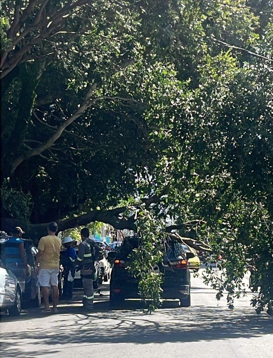 Galho de árvore de grande porte cai sobre veículo no centro de Belém