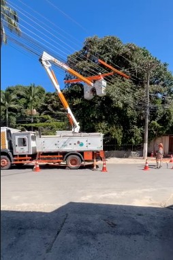 Mutirão de podas de árvores é realizado em Vassouras