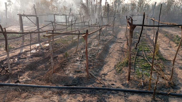 Famílias têm casas e plantações destruídas por incêndio em acampamento do MST