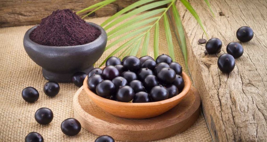 No Amapá, produção de café de açaí reaproveita mais de 200 toneladas de caroços do fruto