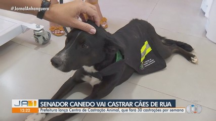 Senador Canedo abre primeiro Central Municipal de Castração animal