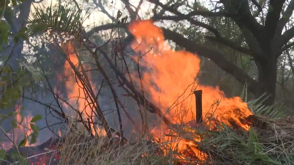 Maranhão Farmers Brace for Dry-Season Fires as Rural Debt Relief Expands