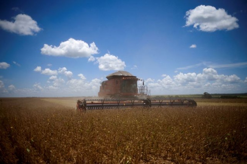 O setor agropecuário respondeu por 24% das exportações brasileiras em 2023 — Foto: Reuters via BBC