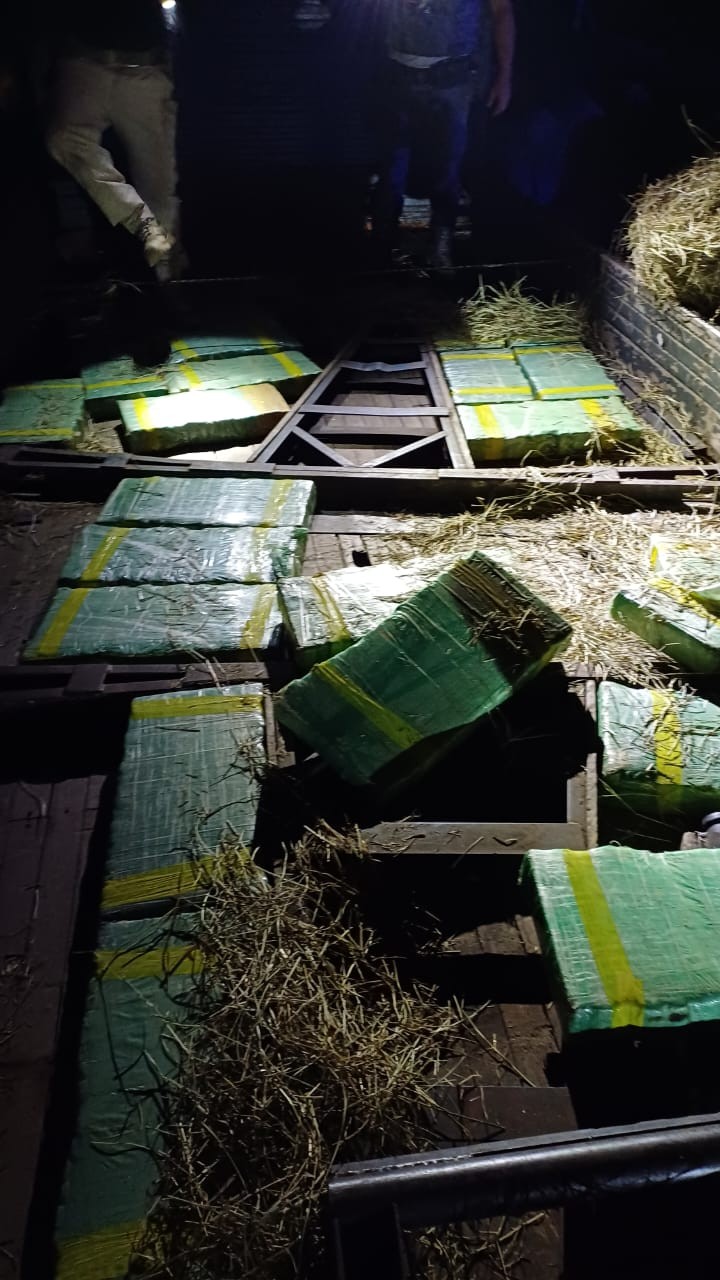 Caminhoneiro preso transportava 415 kg de maconha sob carga de feno na Dutra