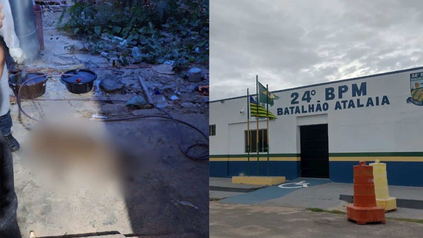 Corpo de cachorro é encontrado preso a corrente no litoral do Piauí; tutor foi conduzido