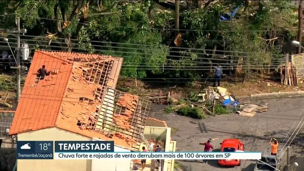 Chuva Forte E Rajadas De Vento Derrubam árvores E Destelham Casas Em Sp São Paulo G1 2189