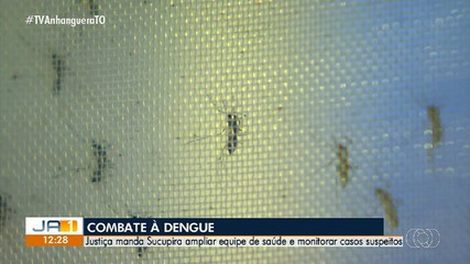 Justiça manda Sucupira ampliar equipe de saúde e monitorar casos suspeitos de dengue